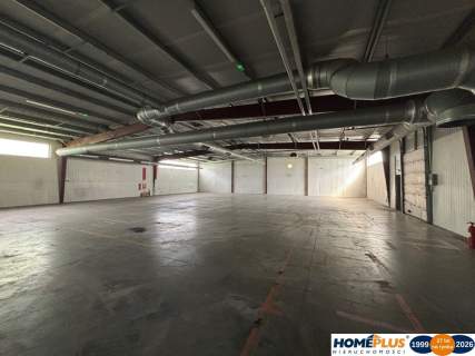 1,6 ha na produkcję, składy, magazyny hala 1100 m2