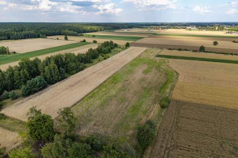Działki w okolicy Wronowic