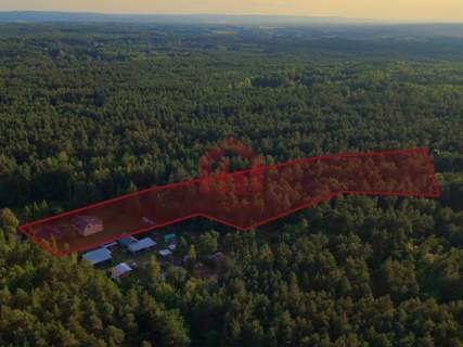 DOM W LESIE NA DZIAŁCE 1,45 HA - Rezerwacja