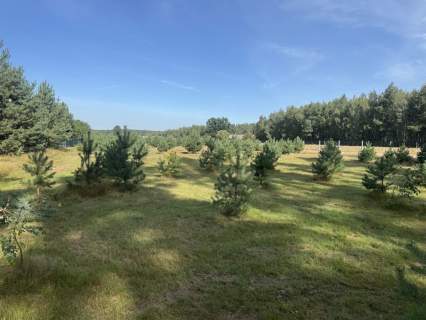 Działka na sprzedaż, 988 m2, Gniezno