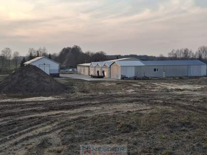 Kompleks budynków gospodarczych po pieczarkarni