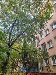 Czyste, ciche, umeblowane, 2 pokoje.