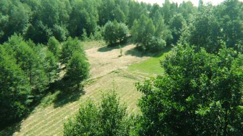 Działka rolna z dopuszczeniem zabudowy zagrodowej 2393 m2
