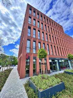 Witryny, szyld reklamowy, parter, Toruń centrum