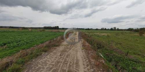 4 działki budowlane w Wieprzycach pod Gorzowem