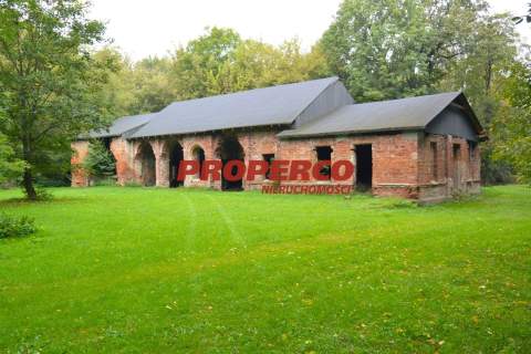 Pałac z XIX wieku 850m2, park i sad 25 ha, Kamień