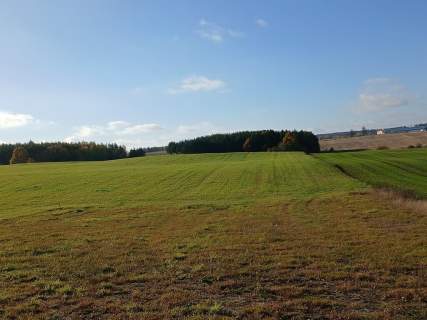 Borcz- Somonino - działka z panoramicznym widokiem