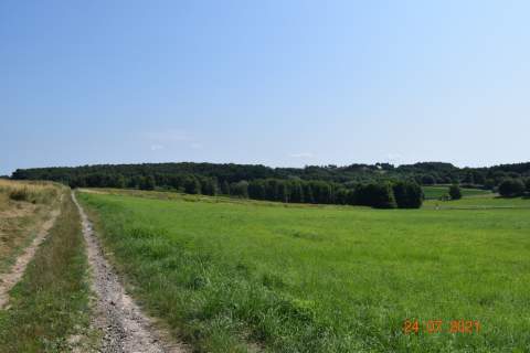 Działka rolno-budowlana 43a w Racławówce.
