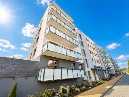 Mieszkanie do wynajęcia, 50 m2, Gorzów Wielkopolski