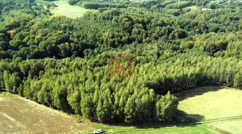 LAS I GRUNTY NA SPRZEDAŻ GNOJNICA, GMINA ROPCZYCE 1,58 HA