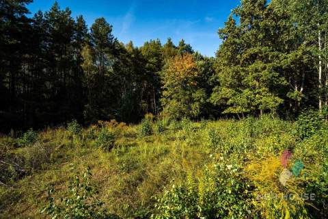 Wyjątkowe miejsce pod dom   lasy, jeziora i natura, Zapurdka