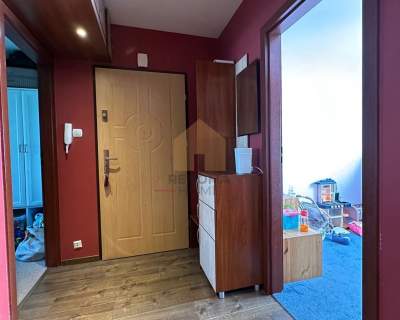 Bezczynszowe parter duży balkon piwnica