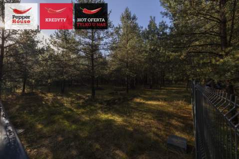 Borsk Działka 1380 m z projektami 2 domków letniskowych