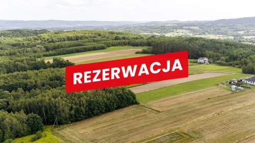 Działka leśna Łęki Dolne - gm. Pilzno