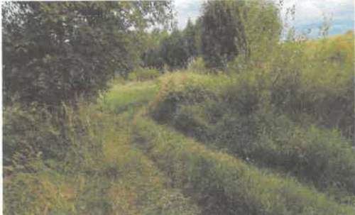 Działka rolna na sprzedaż, 5600 m2, Barycz