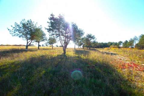 Działka z warunkami zabudowy, 1071 m2 Tokarnia
