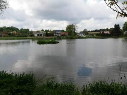 Działka o pow. 4,6 ha w Klementowicach gm. Kurów.