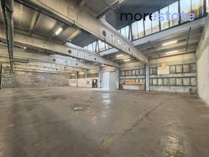 Hala 650 m2 / Rybitwy / możliwość podziału hali