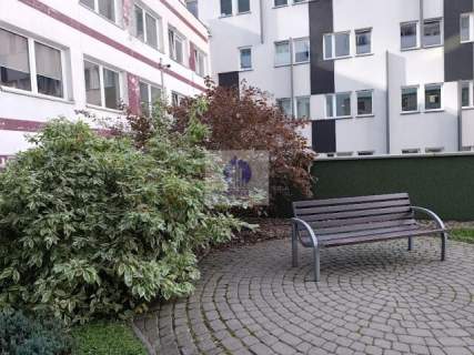 Wola lokal biurowy 45m2 do wynajęcia