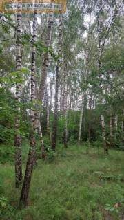 Działka Budowlana 4188 m2 Kalinowo gm. Ostrów Mazowiecka