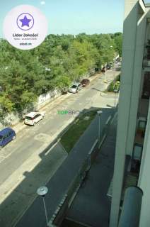 Słoneczne studio dla singla przy lesie, parking