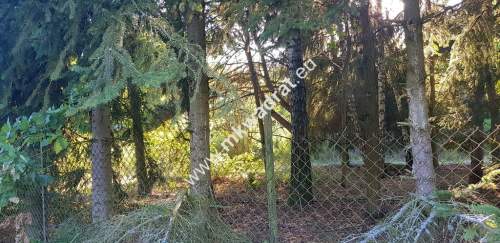 Działka w drugiej linii zabudowy