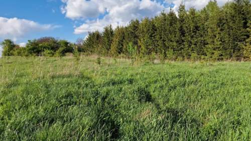 Działka budowlana na sprzedaż, 1484 m2, Sadowie