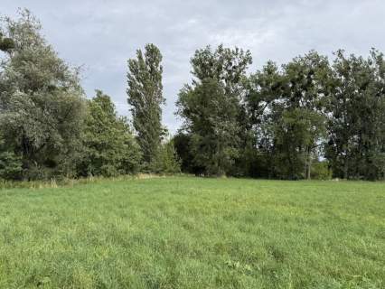 Działka inwestycyjna na sprzedaż, 12000 m2, Słupca