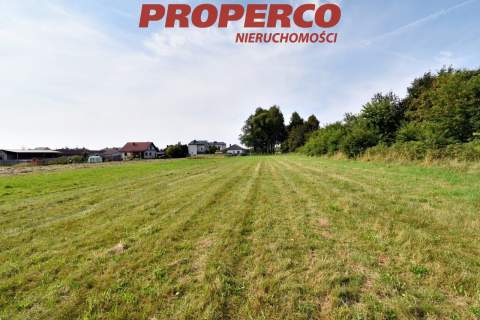 Działka pod Kielcami z MPZP, 9051 m2, Radlin,Górno
