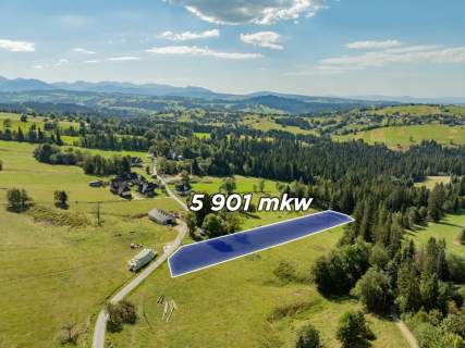 Sierockie - działka 5901m2 - WZtka 4 domy