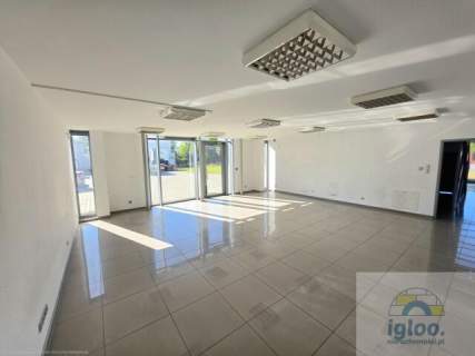 Obiekt Usługowy - Wynajem - Kielce - Białogon - 500m2