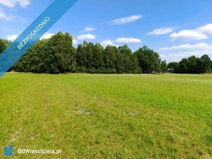 Siedlisko 3,57 ha z zabudowaniami i własnym lasem Siedlików...