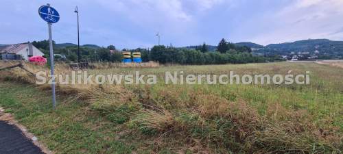DZIAŁKA W BUDZOWIE