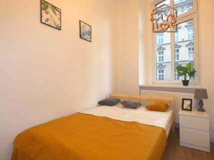 2 pokoje 43 m2, pet-friendly - Wolności 302