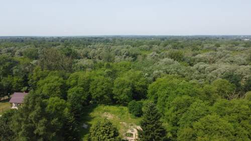 Działka 0,21 ha w Kaliszanach Kolonii gm. Józefów.