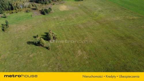 0,3 ha działka rolna, wkrótce z WZ, gm. Poświętne