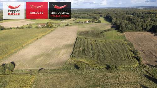 Działka budowlana na sprzedaż, 20901 m2, Strużyna
