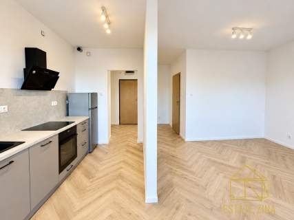 Mieszkanie po generalnym remoncie Duży balkon