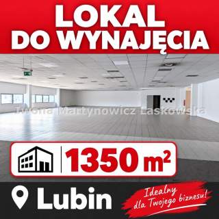 Lokal wielkopowierzchniowy, 1350 m2 Lubin