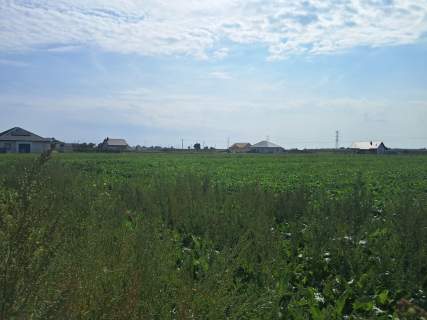Działka budowalna 16a - Gm. Puchaczów - Turowola.