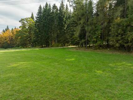 Działka Budowlana z Własnym LASEM 3565 M JORDANÓW