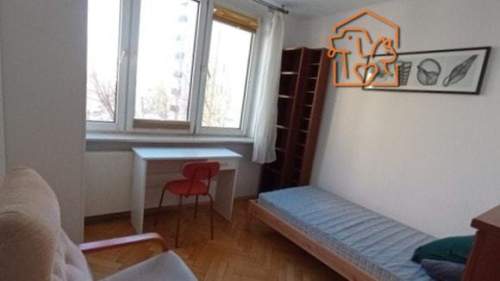 3 pokoje naprzeciwko PL, pet-friendly-Nowomiejska