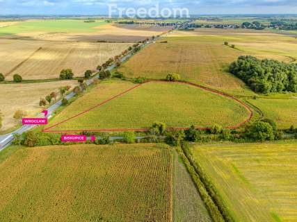 Działka inwestycyjna 2,31 ha Wilczkowice E8