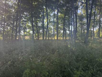 Działka budowlana na sprzedaż, 1709 m2, Rybno Wielkie
