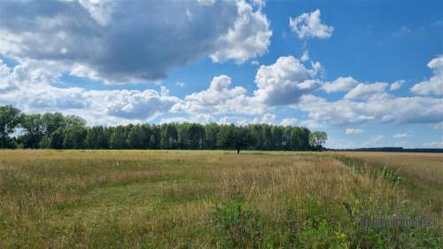 Działka budowlana na wsi ok. 60 km od morza i Miel