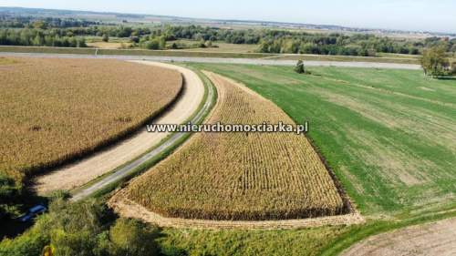 Działka rolna 45 arów Buków