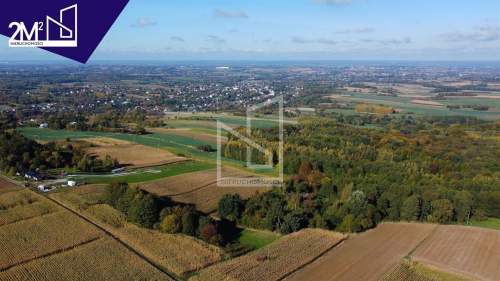 Działka widokowa 76,42 ar Handzlówka k. Łańcuta