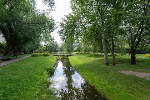 Na wynajem WILANÓW 3 POKOJE w otoczeniu zieleni
