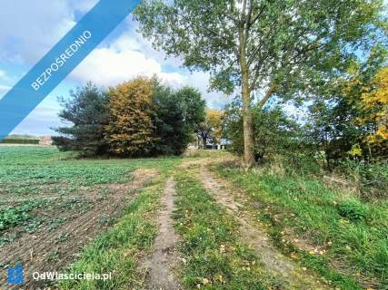 Działka rolna, budowlana Cenazł/60m2 Ludwin MPZP