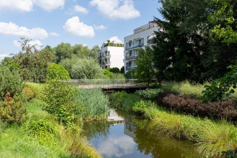 Na wynajem WILANÓW 3 POKOJE w otoczeniu zieleni